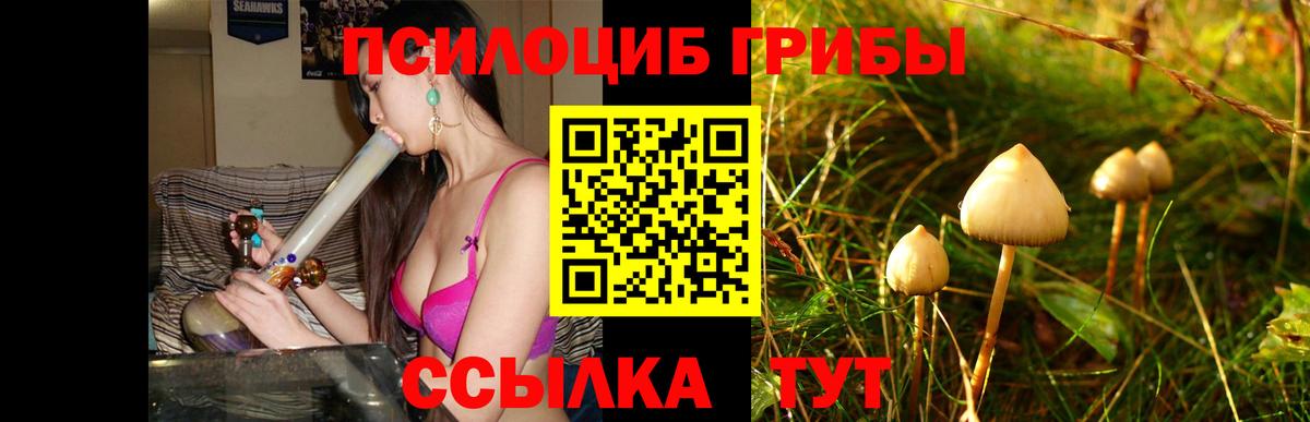 Псилоцибиновые грибы ЛСД  Псилоцибиновые грибы Psilocybine cubensis  Казань  Вход с VPN 