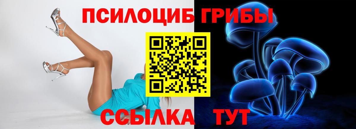 Псилоцибиновые грибы мухоморы Казань